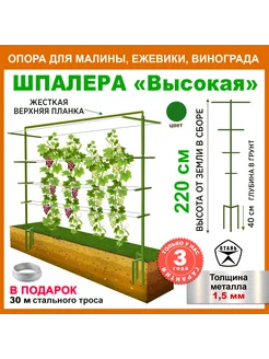 Шпалера сталь 167221111 купить за 5 478 ₽ в интернет-магазине Wildberries