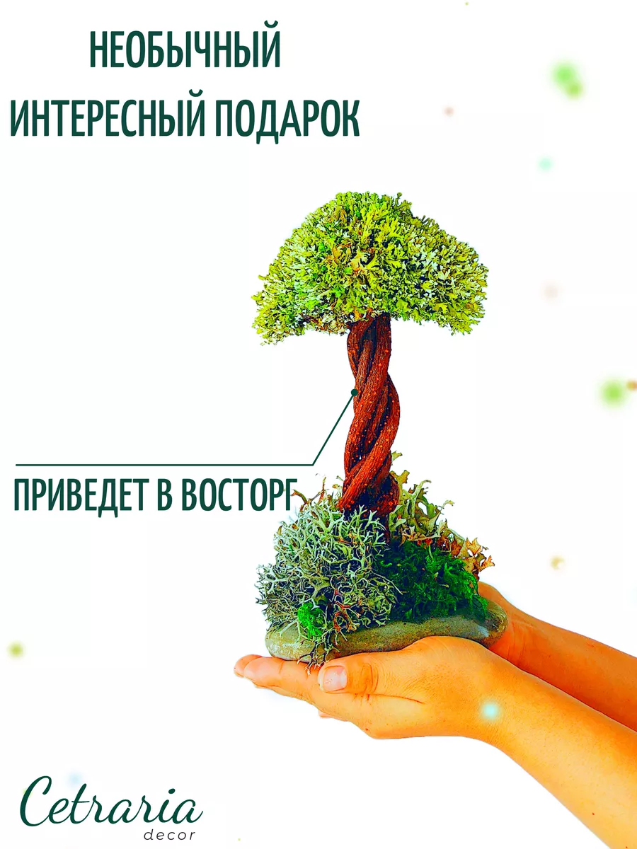 Эксклюзивное деревце из красного перца и чеснока № - купить в Украине на витамин-п-байкальский.рф