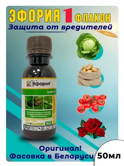 Эфория КС инсектицид средство от жука колорадского тли Syngenta 167233072 купить за 535 ₽ в интернет-магазине Wildberries