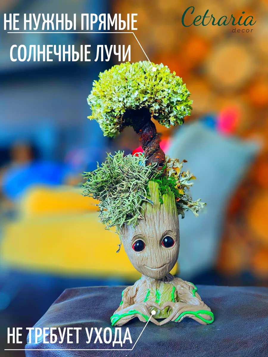 Кашпо Грут с деревом из...