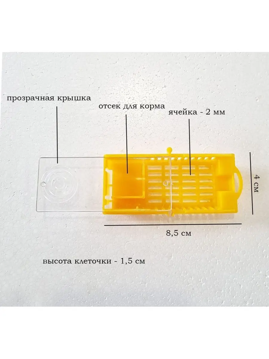 Клеточка для пересылки и подсадки маток (10 шт) Старый улей 167264636  купить за 450 ₽ в интернет-магазине Wildberries