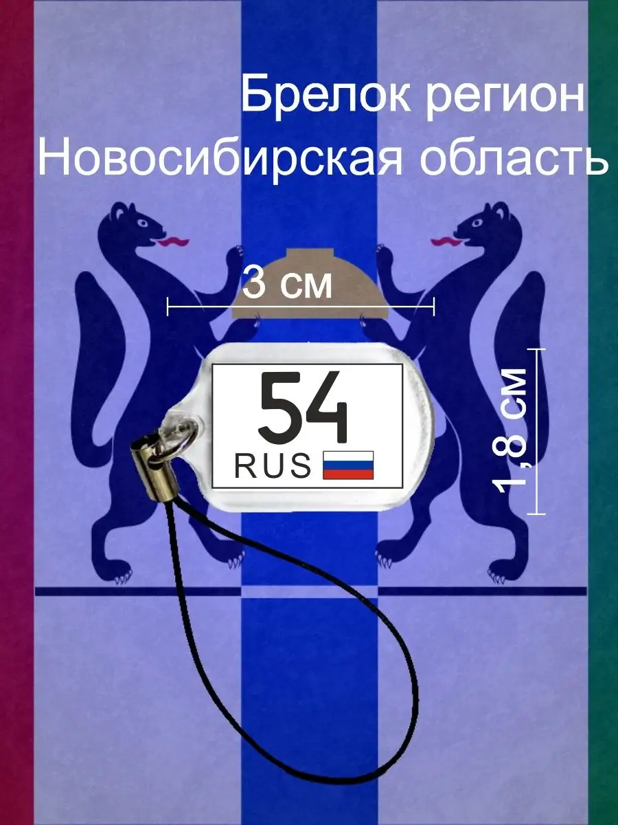 Брелок регион 54 Новосибирская область Регион 167281332 купить за 130 ₽ в  интернет-магазине Wildberries