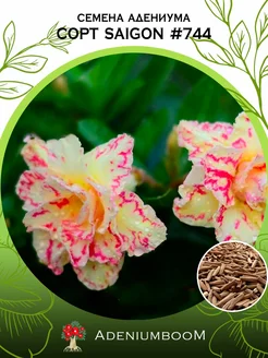 Семена Адениума Обесум от Saigon Adenium #744 (4шт.) AdeniumBoom 167296990 купить за 194 ₽ в интернет-магазине Wildberries