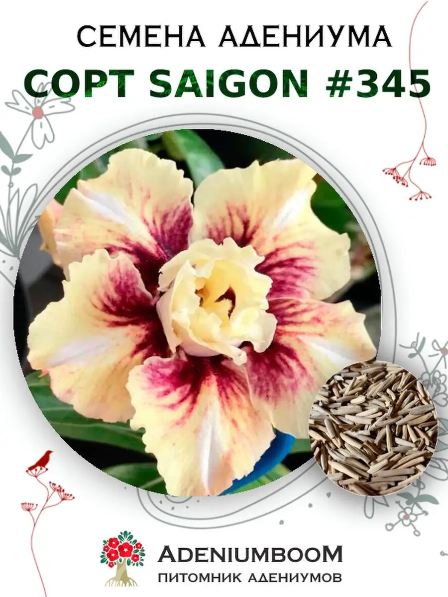 Семена Адениума Обесум от Saigon Adenium #345 (4шт.) AdeniumBoom 167297007  купить за 271 ₽ в интернет-магазине Wildberries