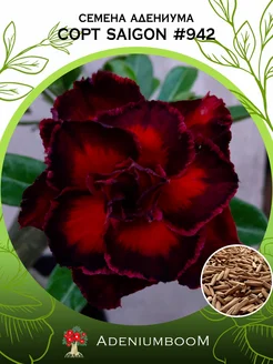 Семена Адениума Обесум от Saigon Adenium #942 (4шт.) AdeniumBoom 167297012 купить за 184 ₽ в интернет-магазине Wildberries