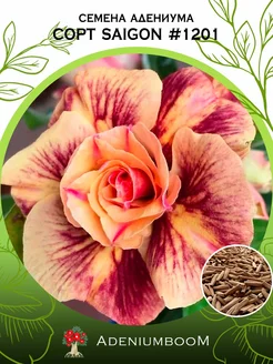 Семена Адениума Обесум от Saigon Adenium #1201 (4шт.) AdeniumBoom 167297031 купить за 214 ₽ в интернет-магазине Wildberries