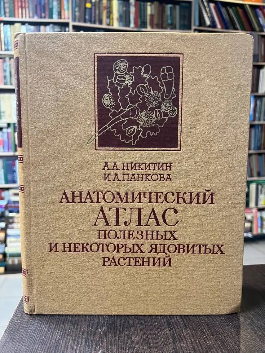 Никитин А. Анатомический атлас Наука 167328669 купить за 2 905 ₽ в  интернет-магазине Wildberries