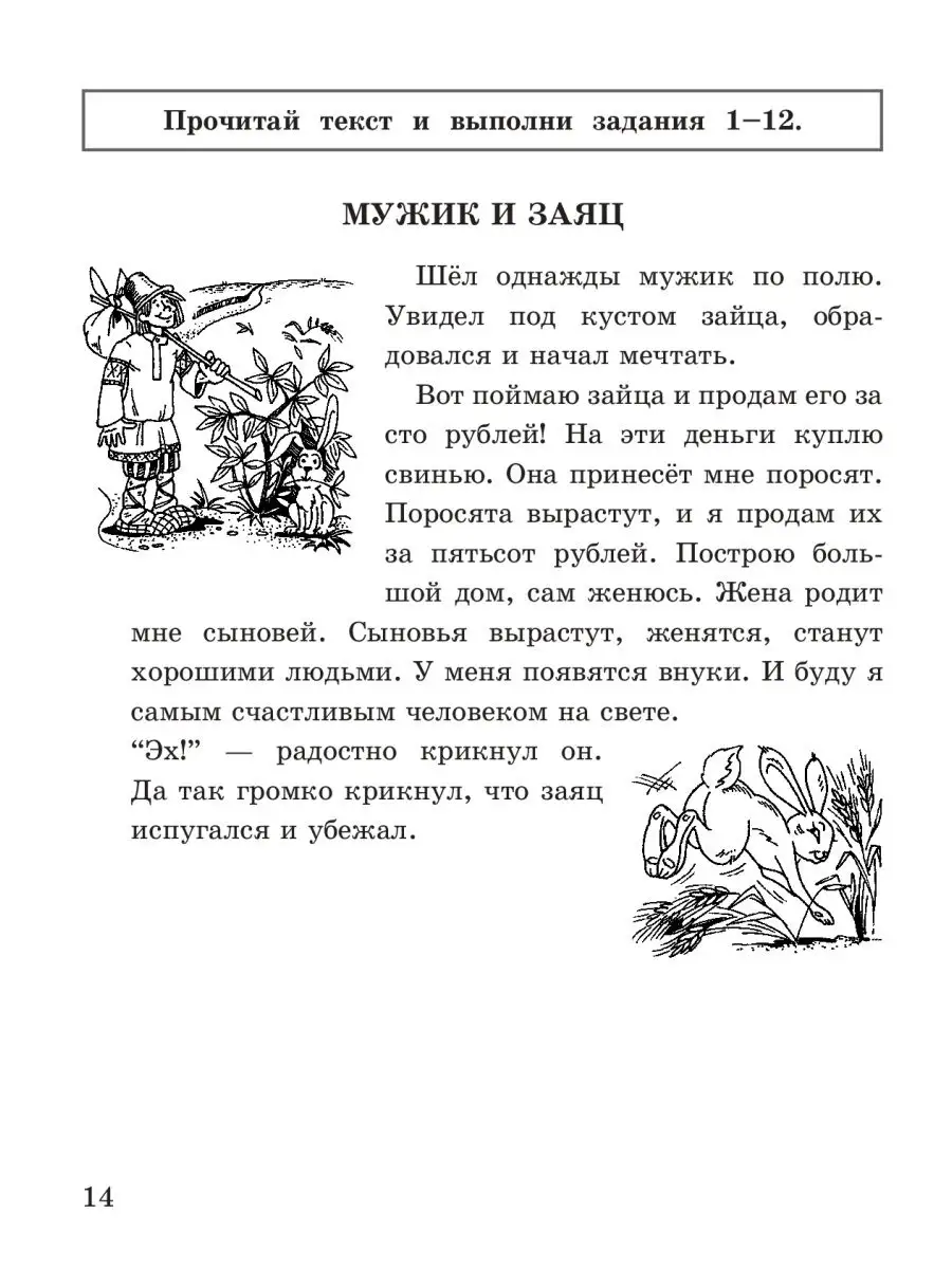 Комплексные задания к текстам 1 класс Линейка! 167354850 купить в  интернет-магазине Wildberries