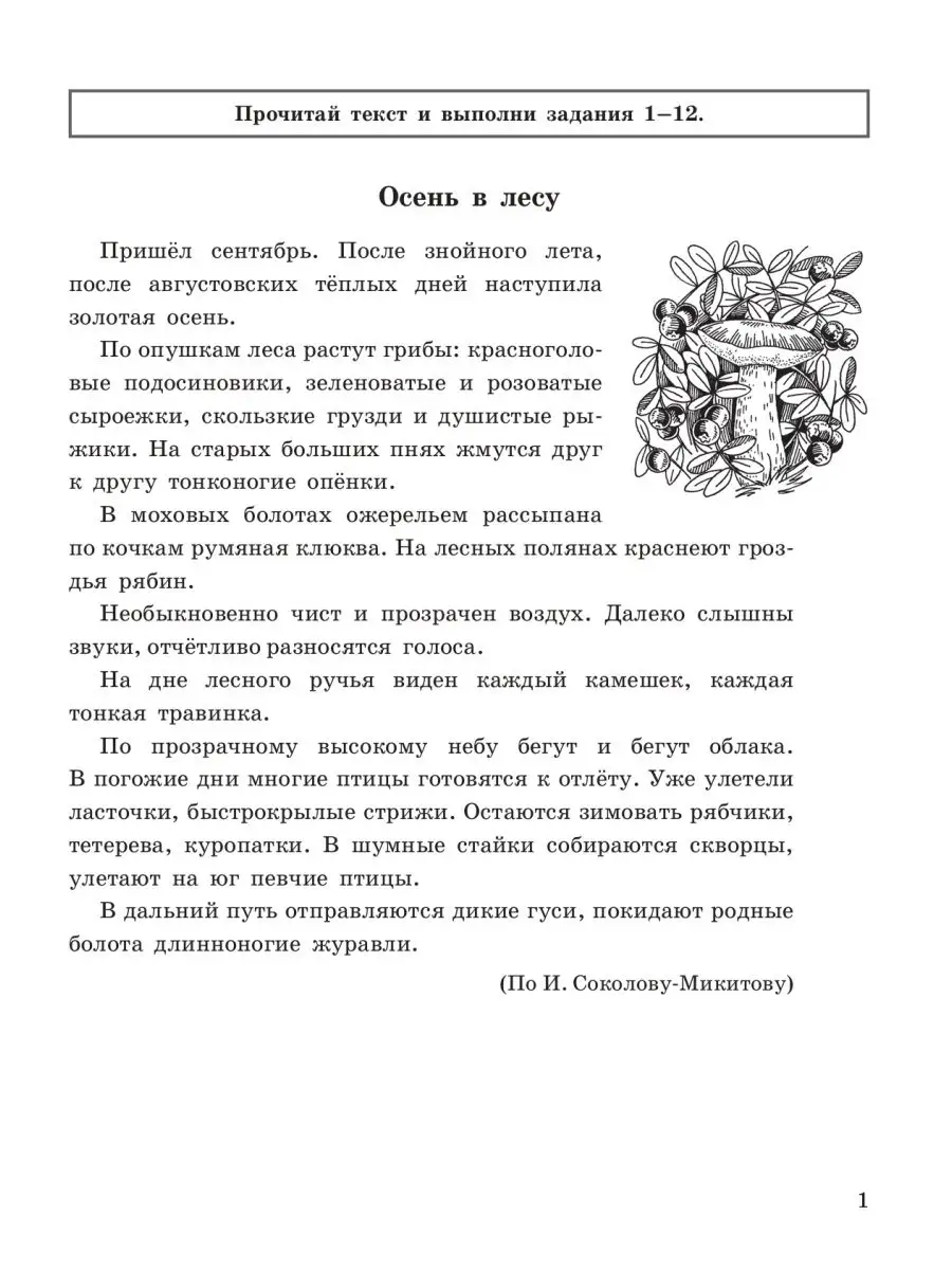 Комплексные задания к текстам 3 класс Линейка! 167354852 купить в  интернет-магазине Wildberries