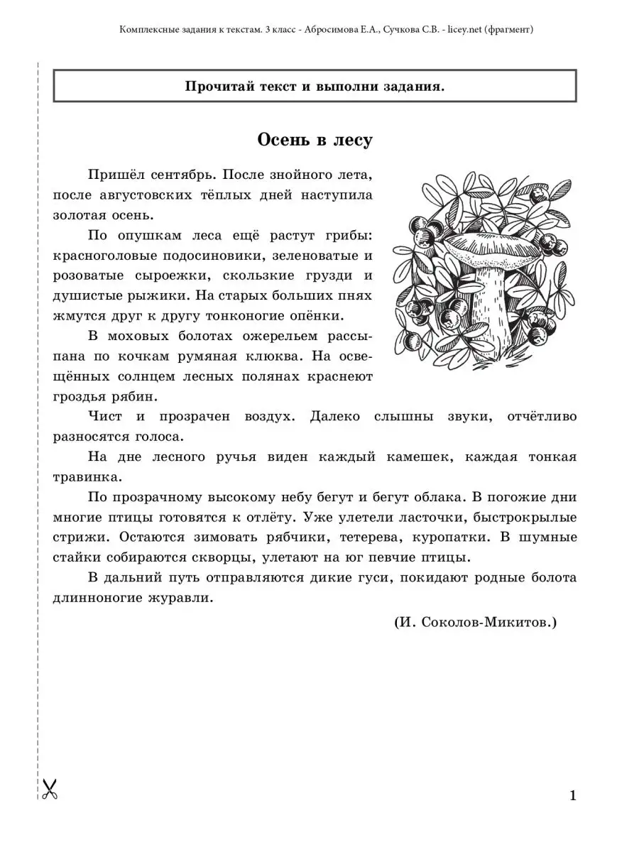 Комплексная работа с текстом 3 класс Линейка! 167355415 купить в  интернет-магазине Wildberries