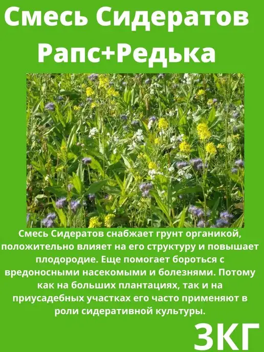 Очумелый ОгородNIK Семена Сидератов Рапс+Редька 1 кг, 3 кг