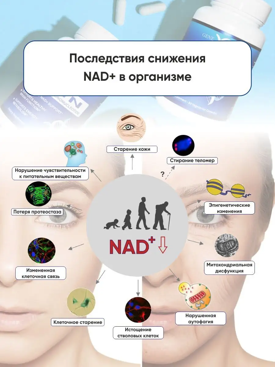 NMN / жиросжигатель таблетки для похудения GeneX Formulas 167371656 купить  в интернет-магазине Wildberries