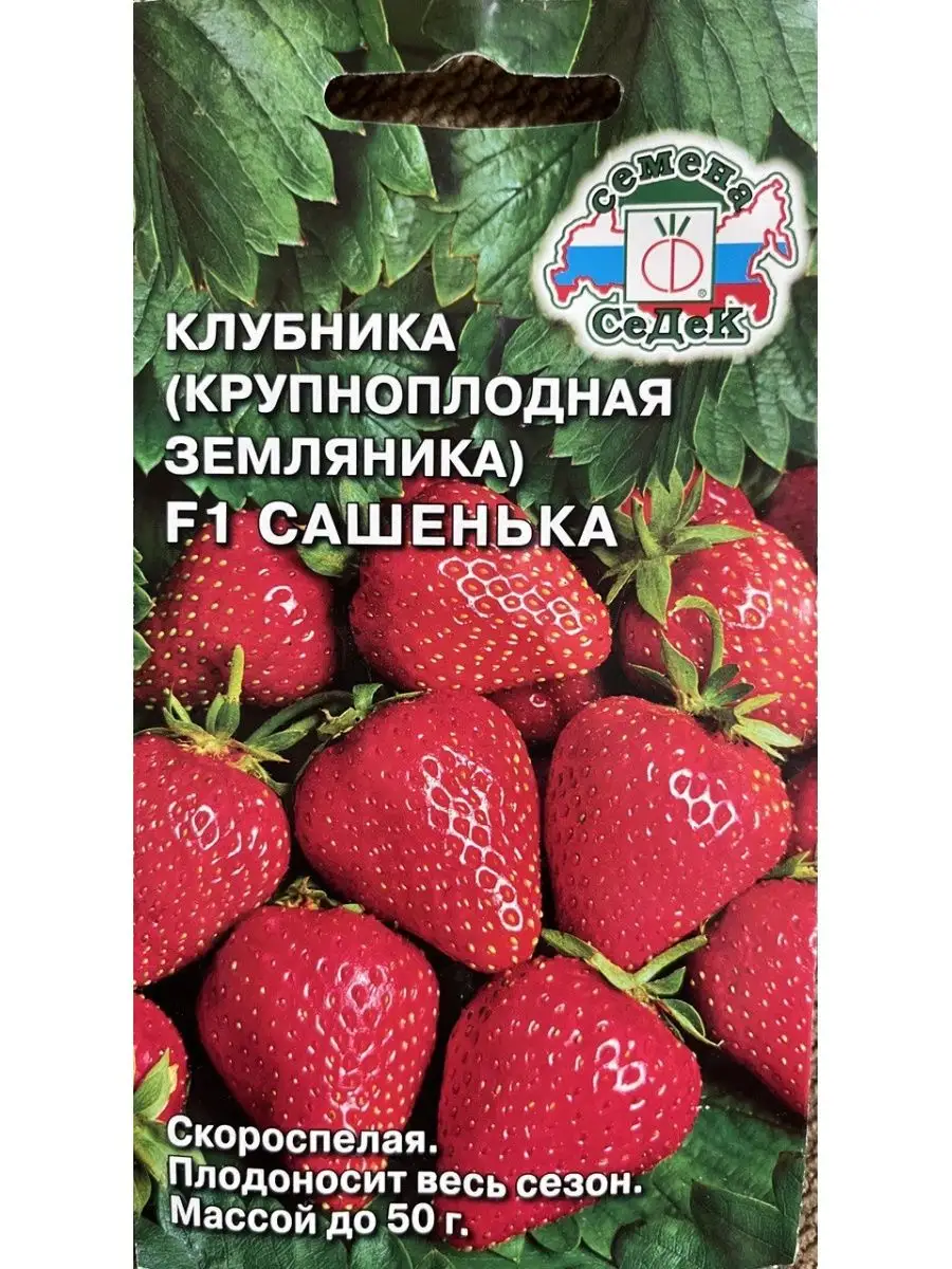 Земляника-клубника крупноплодная Сашенька F1 СеДек 167373536 купить за 198  ₽ в интернет-магазине Wildberries