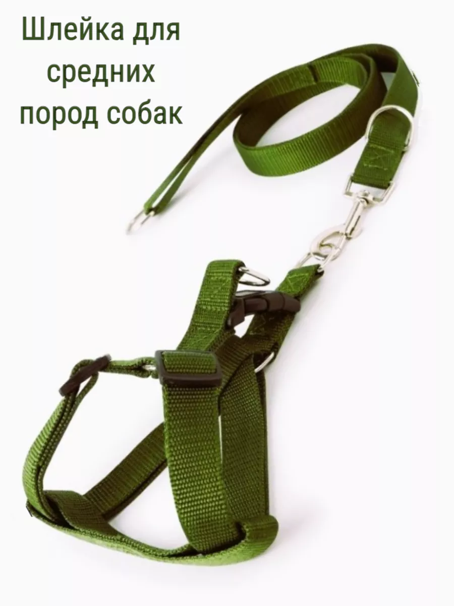 Шлейка с поводком для средних собак