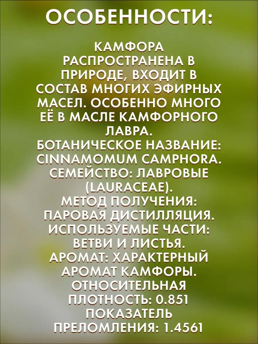 Эфирное масло натуральное Камфора 30 мл Сырье для бытовой химии и косметики  167388283 купить за 404 ₽ в интернет-магазине Wildberries