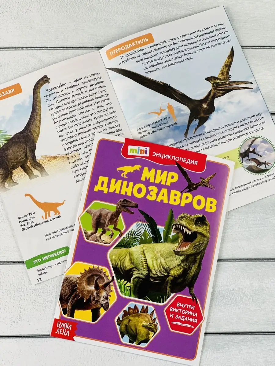 Динозавры – виды, список с изображениями, названия, описание, когда жили, где обитали, видео
