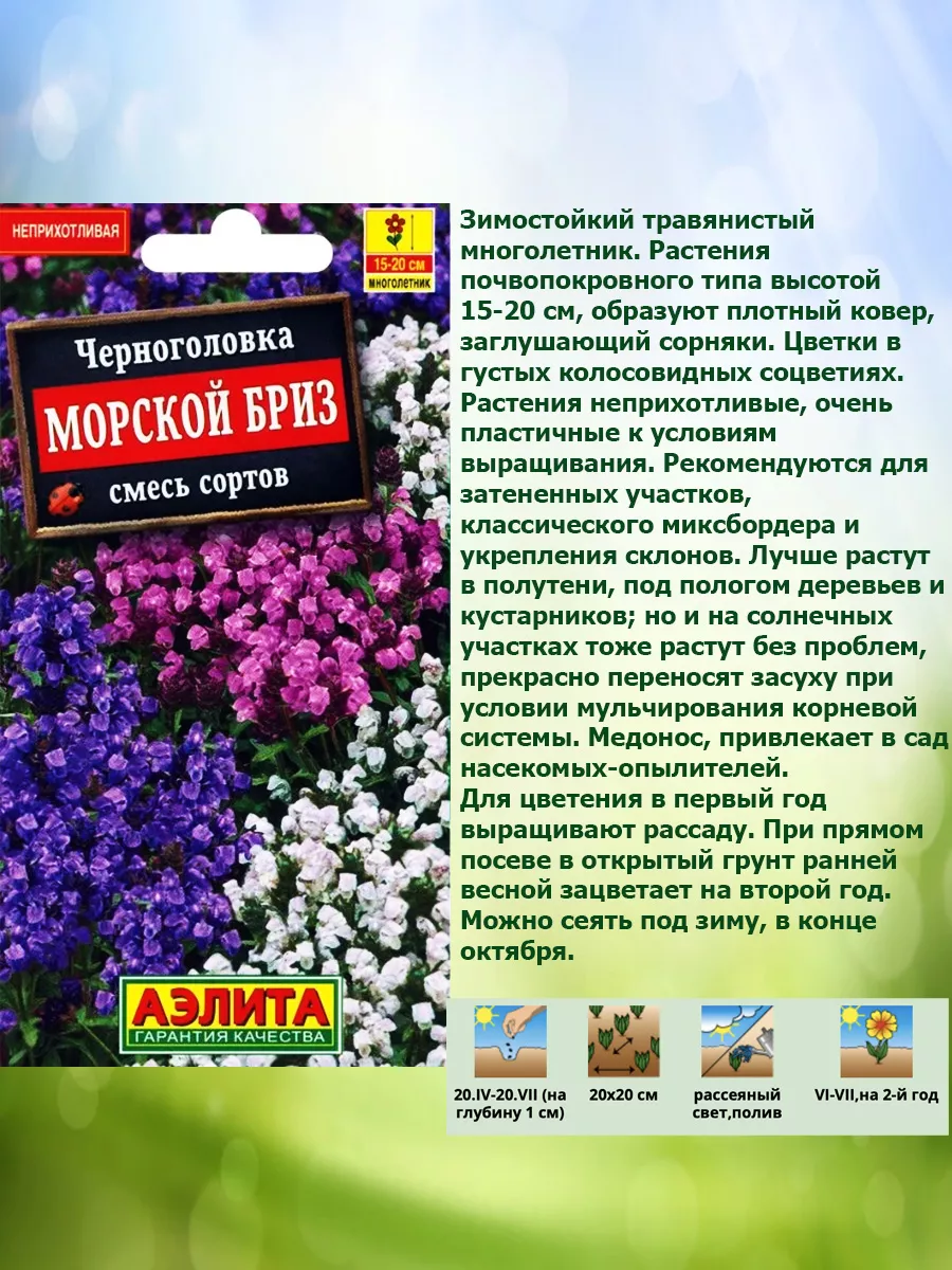 Семена Черноголовка Морской бриз Агрофирма Аэлита 167487268 купить за 99 ₽  в интернет-магазине Wildberries