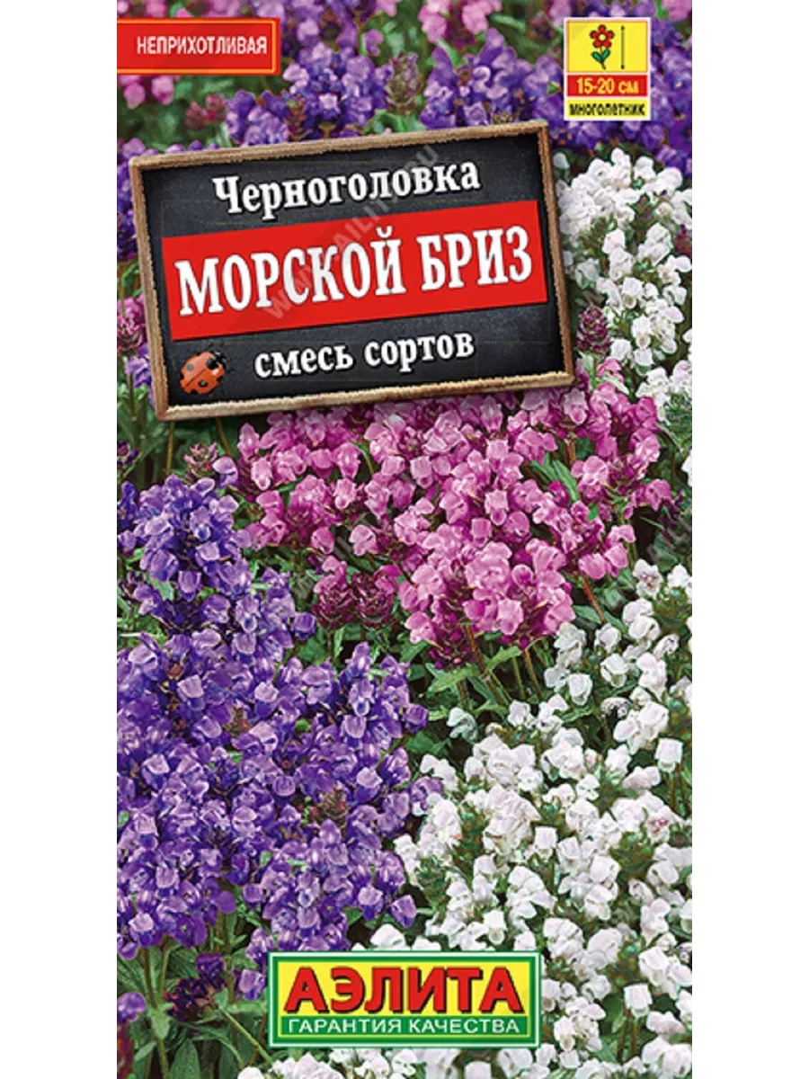 Семена Черноголовка Морской бриз Агрофирма Аэлита 167487268 купить за 99 ₽  в интернет-магазине Wildberries