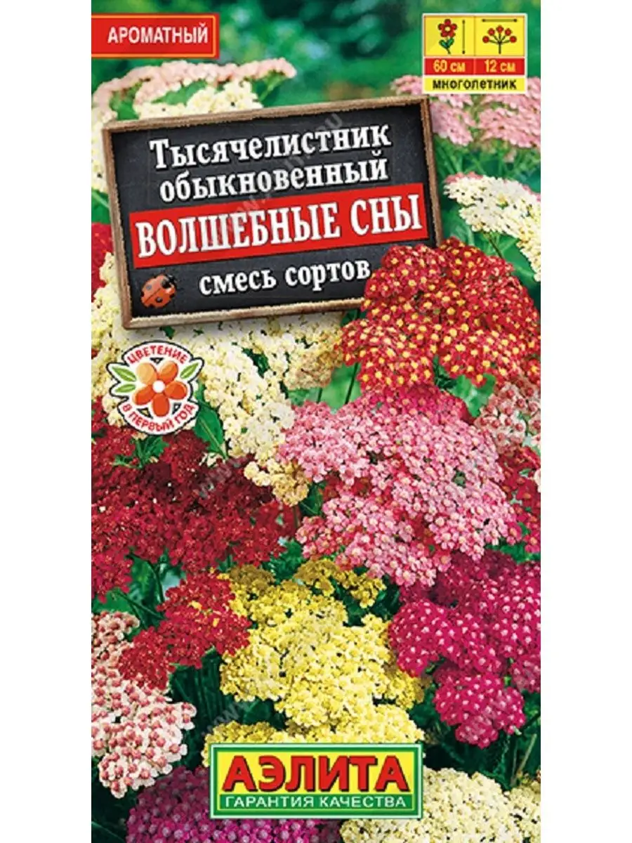 Семена Тысячелистник Волшебные сны Агрофирма Аэлита 167488718 купить за 119  ₽ в интернет-магазине Wildberries