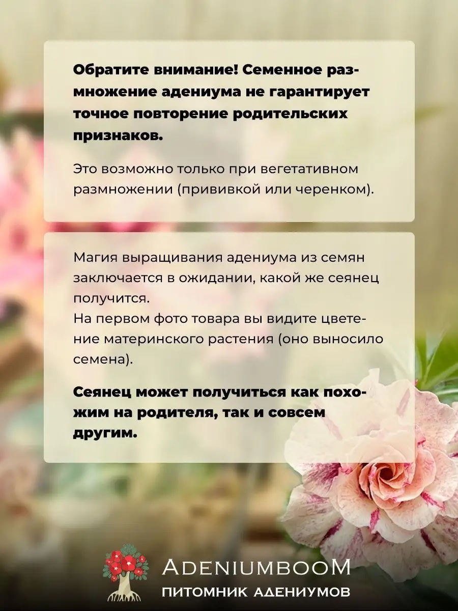 Семена Адениума Обесум, сорт Secret Bloom (4шт.) AdeniumBoom 167526405  купить за 315 ₽ в интернет-магазине Wildberries