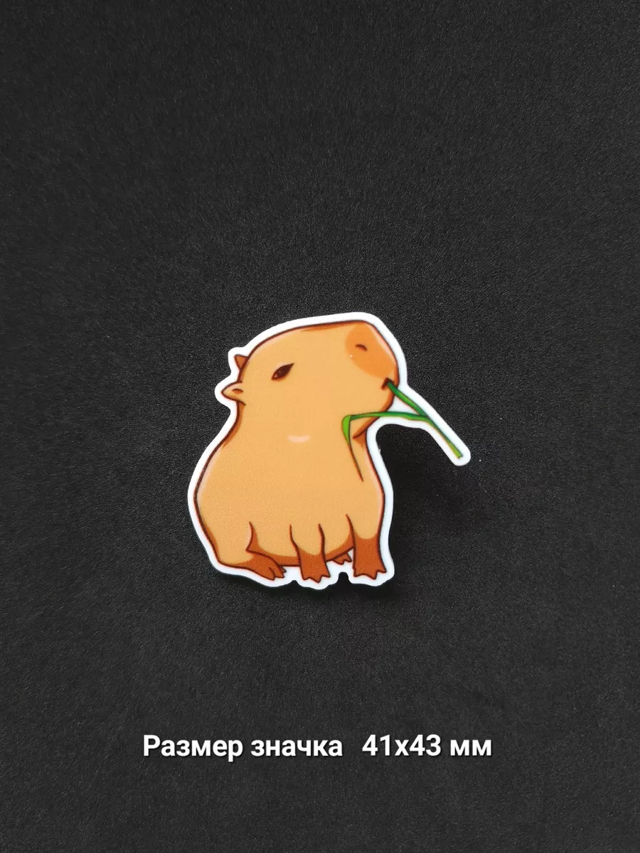 Акриловый значок капибара