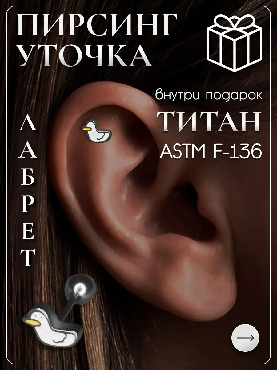 Пирсинг лабрет уточка штанга в трагус хеликс Niche Brand Jewellery  167561843 купить за 383 ₽ в интернет-магазине Wildberries