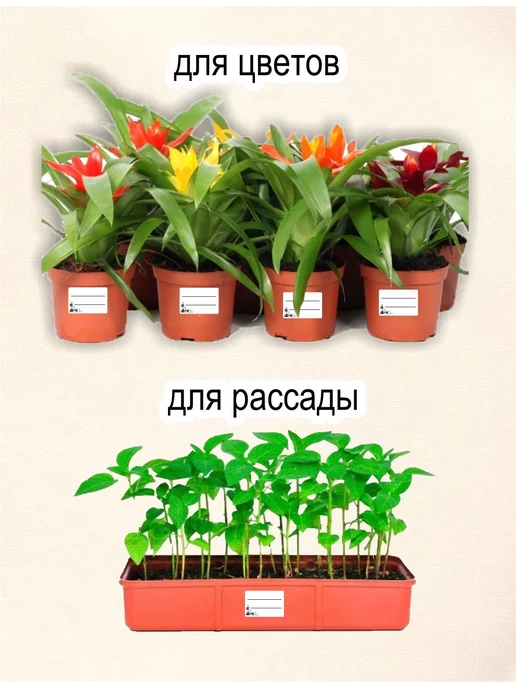 GOODстикер Этикетки самоклеящиеся для заготовок на зиму 4х6 см, 4x6 см, фото 7