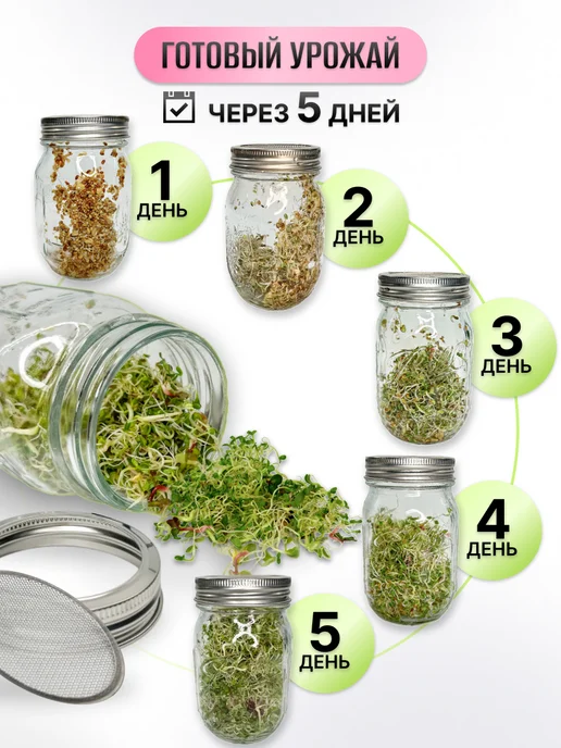 Вырасти Микрозелень набор для выращивания и проращивания семян, вариант, фото 3