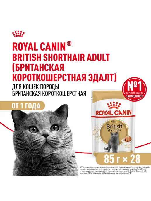 Royal canin Корм для кошек влажный British Shorthair Британская 85г 28шт, 85 г, 28 шт, фото 4