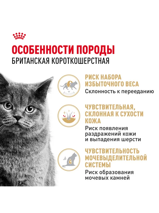 Royal canin Корм для кошек влажный British Shorthair Британская 85г 28шт, 85 г, 28 шт, фото 5