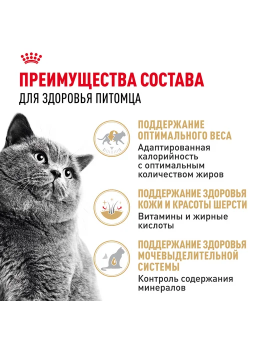 Royal canin Корм для кошек влажный British Shorthair Британская 85г 28шт, 85 г, 28 шт, фото 6
