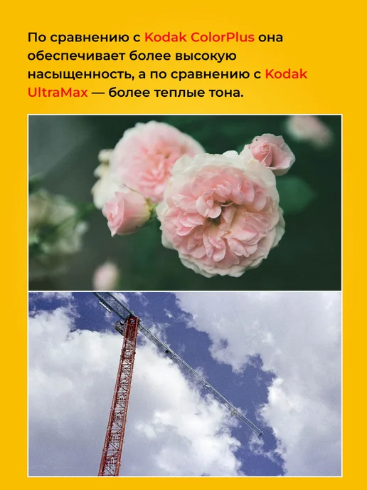 KODAK Фотопленка для фотоаппарата цветная 35 мм Color Plus, золотой, фото 7