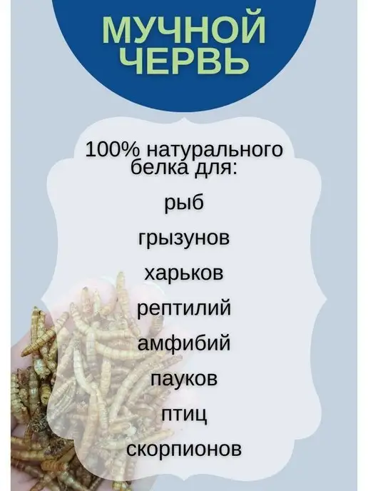 ZooAqua Мучной червь сушеный, 70 гр, развес, 70 г, фото 2