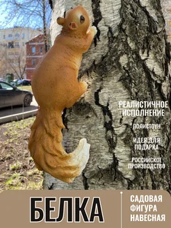 Фигурка садовая Белка навесная на дерево Барельеф 167740636 купить за 821 ₽ в интернет-магазине Wildberries