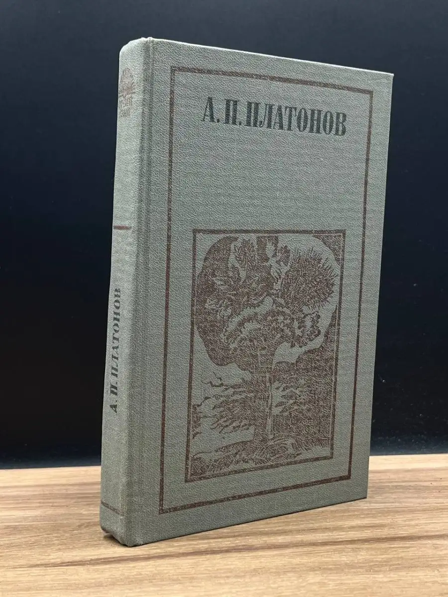 А. П. Платонов. Повести. Рассказы. Из писем Центрально-Черноземное книжное  издательство 167766011 купить за 156 ₽ в интернет-магазине Wildberries