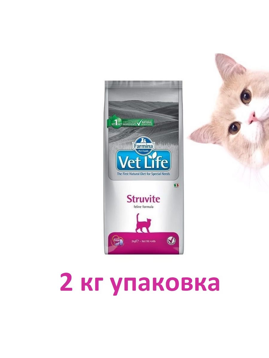 Корм для кошек life cat. Farmina vet Life Cat Struvite при мкб 2кг. Farmina Struvite для кошек. Корм Life Cat.