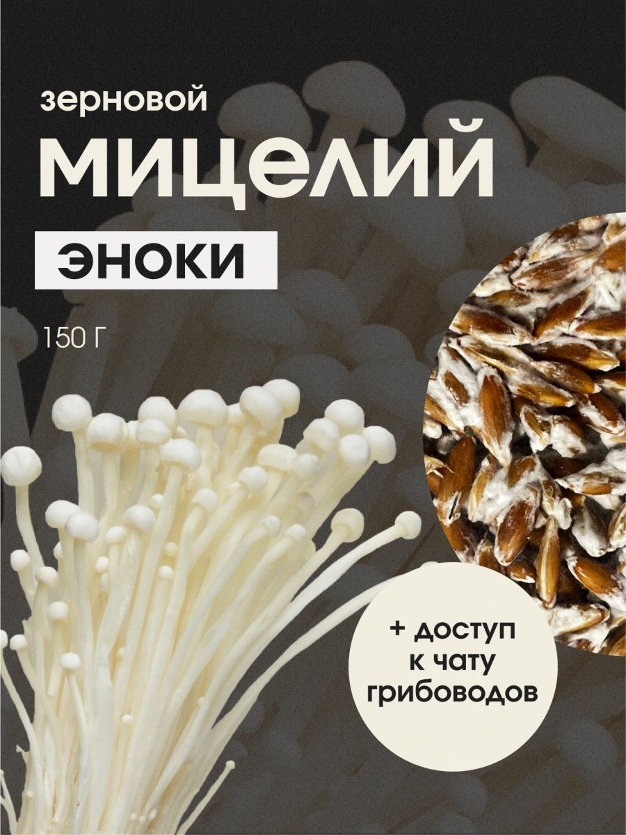 Мицелий грибов Эноки. Семена грибов Грибы пошли 167782982 купить за 395 ₽ в  интернет-магазине Wildberries