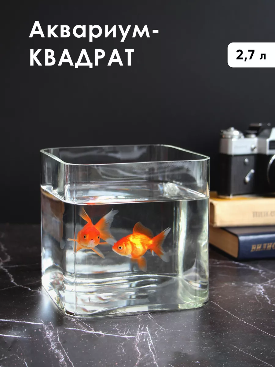 Аквариум для рыбок квадратный 2,7 л стеклянный Glass Concept 167795643  купить в интернет-магазине Wildberries