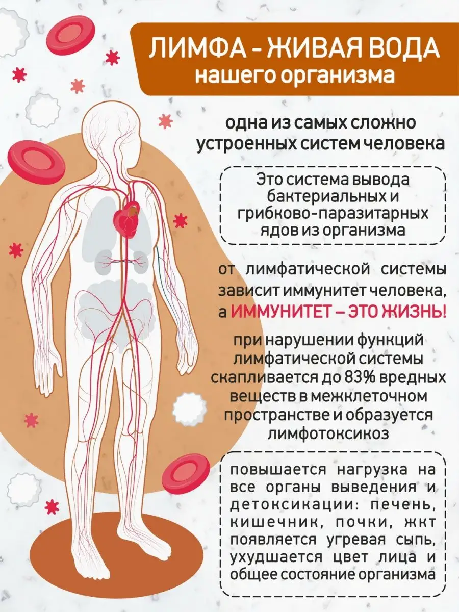 Чай Лимфодренажный сбор от отеков 150 г дренажный напиток Сила Северного  Медведя 167796171 купить за 516 ₽ в интернет-магазине Wildberries