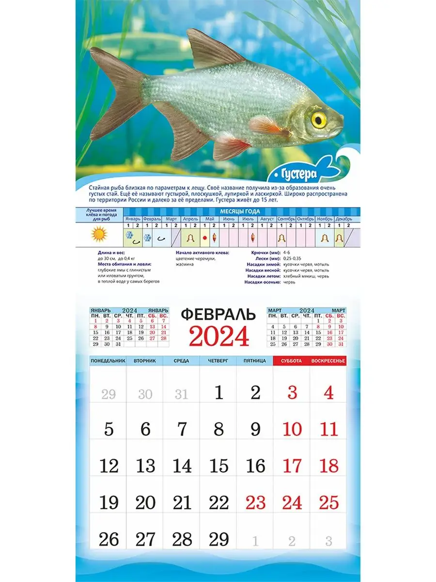 Календарь рыболова на март 2024 года