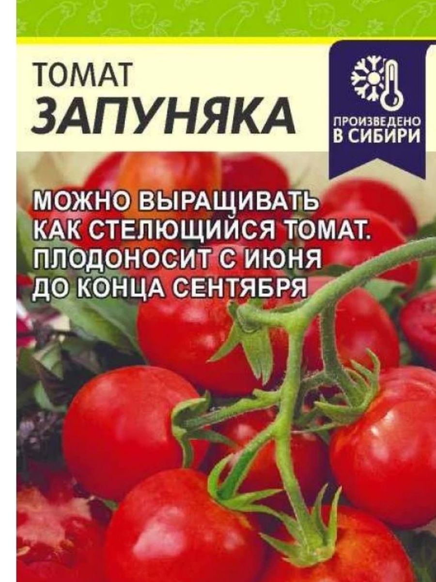 Помидоры запуняко описание сорта. Томат Запуняка семена Алтая. Томат жрица/сем алт/ЦП 0,05гр новинка!.