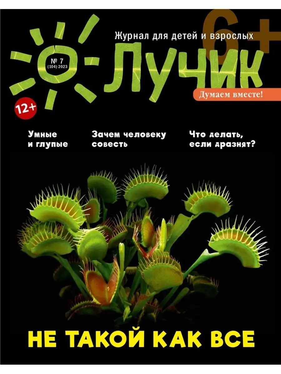 Лучик 6+ №7 23 (Июль)/Детский журнал aipress 167875152 купить в  интернет-магазине Wildberries