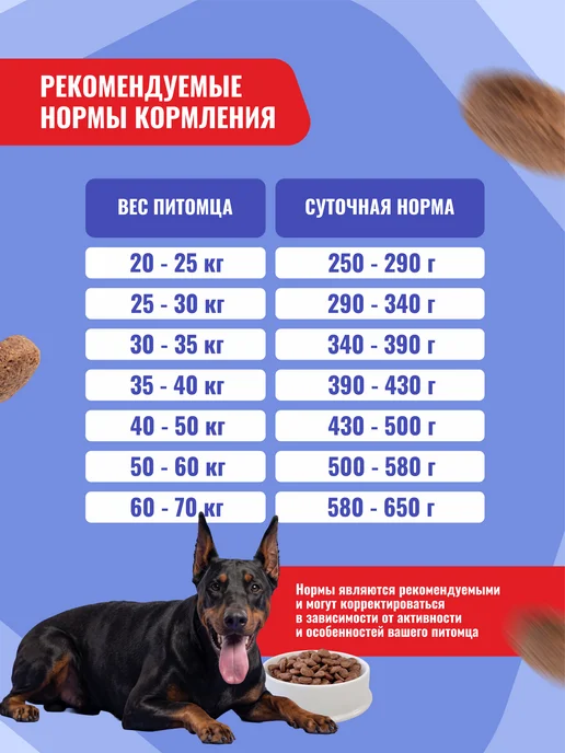 Сухой корм IMPENATURIAL Универсал Империал для собак, 10 кг, фото 6