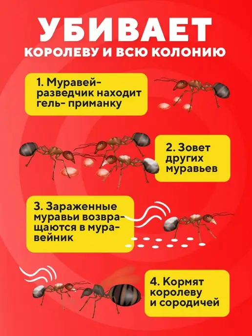 Gektor (Гектор) Гель от всех видов муравьев для дома и сада, вариант, фото 2
