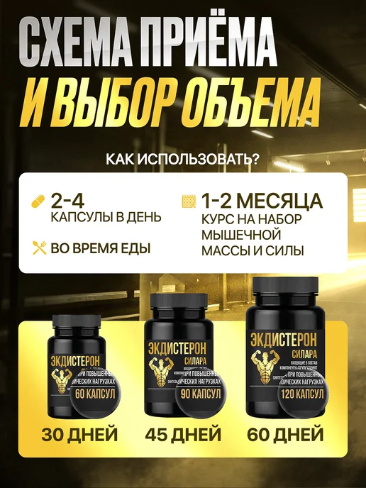 Силара Экдистерон + туркестерон анаболик для роста мышц 500мг N60, вариант, фото 7