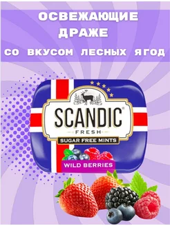 Конфеты без сахара со вкусом Лесные ягоды 1 уп SCANDIC 168013908 купить за 135 ₽ в интернет-магазине Wildberries