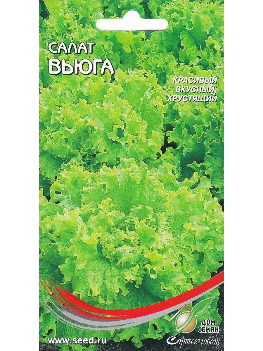 Салат Вьюга полукочанный скороспелый, 420 семян