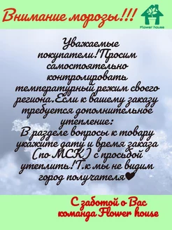 Миранда эротикалық фильмі