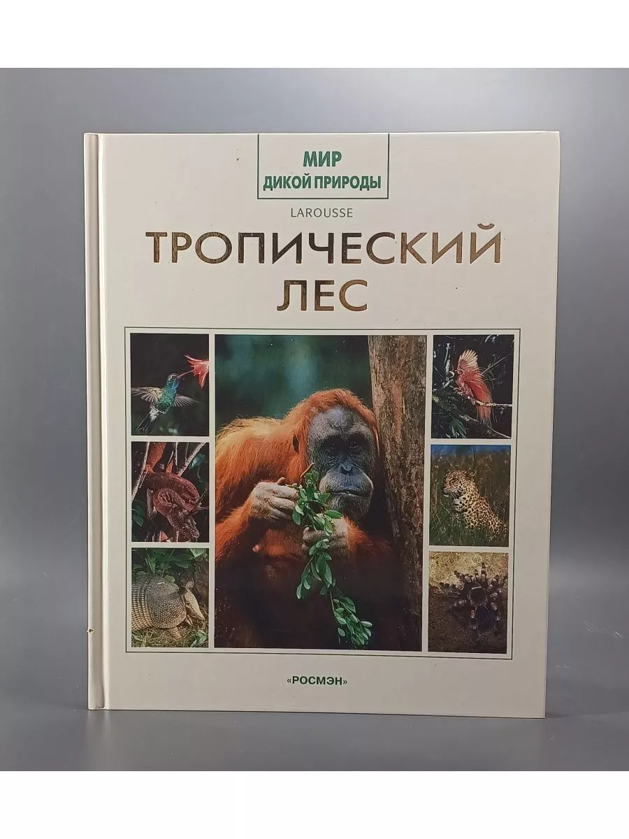 Мир дикой природы. Тропический лес / Соурд К. Росмэн 168095135 купить в  интернет-магазине Wildberries