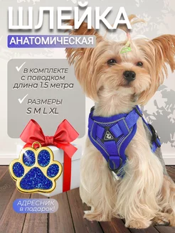 Шлейка для собак и кошек КтоТутПёс 168107301 купить за 492 ₽ в интернет-магазине Wildberries